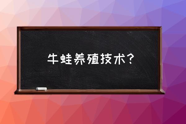 牛蛙养殖技术要点 牛蛙养殖技术？