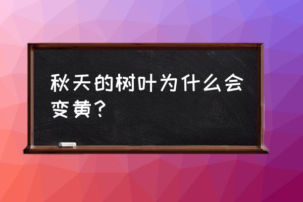 秋天树叶为什么会变黄 秋天的树叶为什么会变黄？