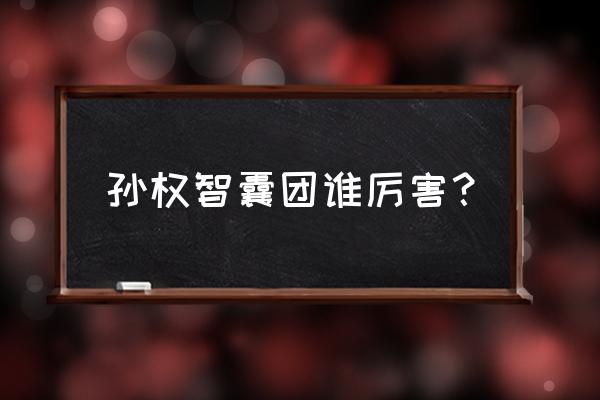 中国智囊团最厉害的人 孙权智囊团谁厉害？