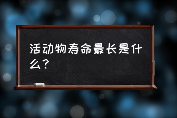 什么动物活的寿命最长 活动物寿命最长是什么？