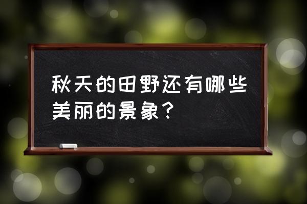 秋天的田野景色 秋天的田野还有哪些美丽的景象？