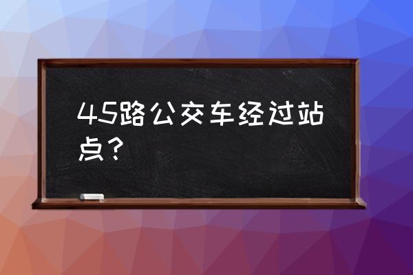 静安寺去静安公园 45路公交车经过站点？