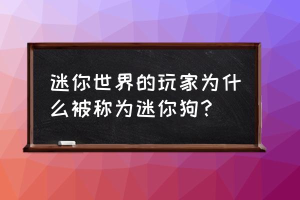 迷你世界关门打狗迷你号 迷你世界的玩家为什么被称为迷你狗？