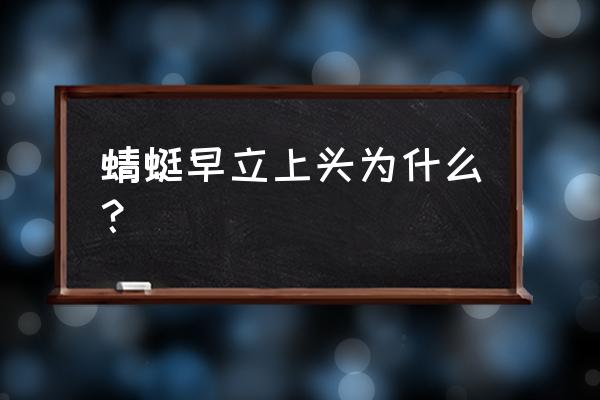 蜻蜓早已立上头 蜻蜓早立上头为什么？