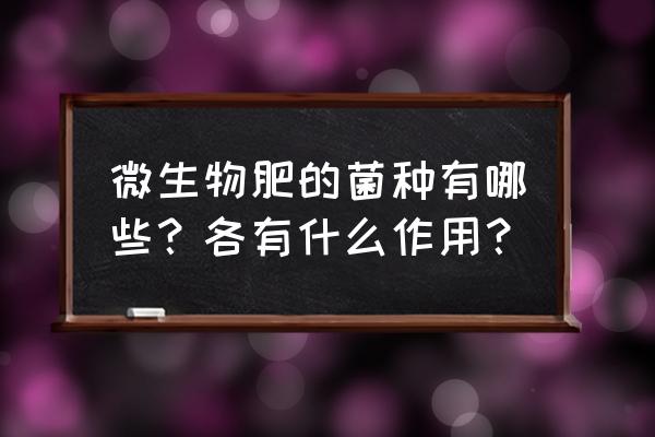 微生物肥料哪种 微生物肥的菌种有哪些？各有什么作用？