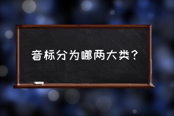 音标分为哪两大类 音标分为哪两大类？