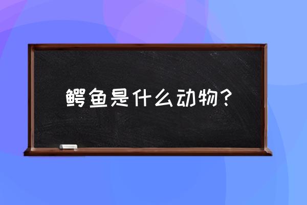 鳄鱼是哪一类动物 鳄鱼是什么动物？