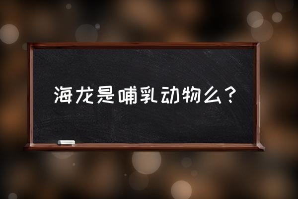 海龙帽子是什么动物 海龙是哺乳动物么？