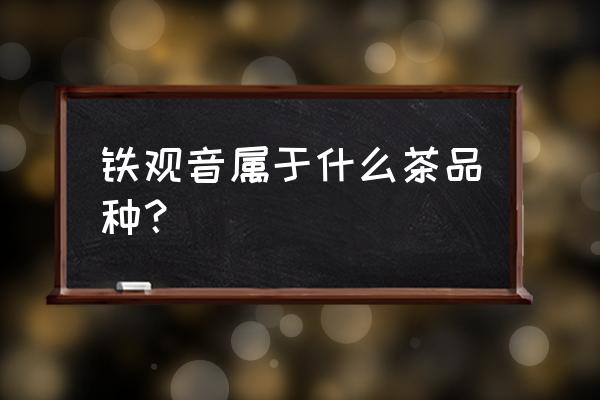 铁观音是什么茶的代表 铁观音属于什么茶品种？