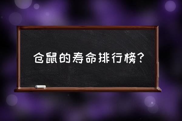 仓鼠寿命一般多久 仓鼠的寿命排行榜？