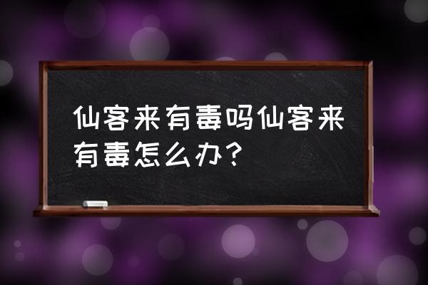 仙客来花有没有毒 仙客来有毒吗仙客来有毒怎么办？