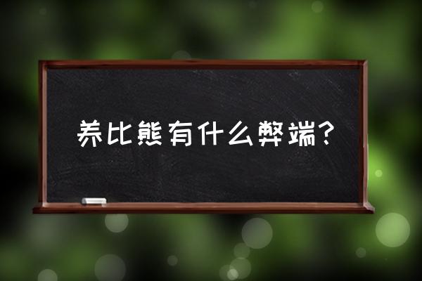 养比熊的禁忌 养比熊有什么弊端？