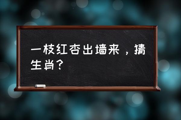 一枝红杏出墙来是什么生肖 一枝红杏出墙来，猜生肖？