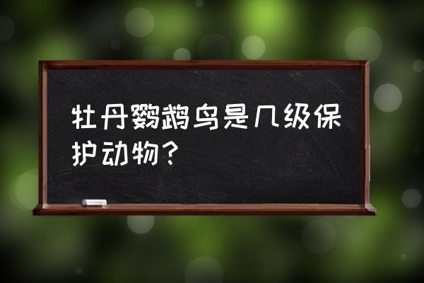 花头鹦鹉是几级保护 牡丹鹦鹉鸟是几级保护动物？