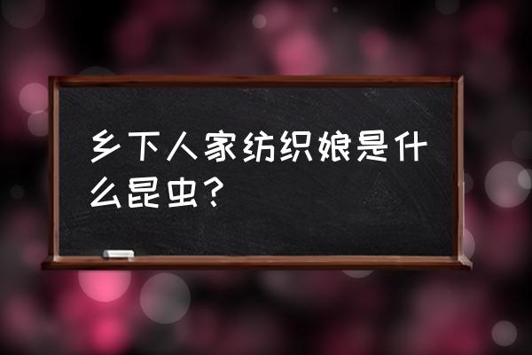 纺织娘是什么昆虫名字 乡下人家纺织娘是什么昆虫？