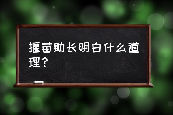 揠苗助长的道理是什么 揠苗助长明白什么道理？