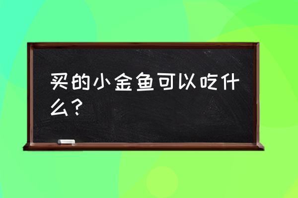 小金鱼吃什么 家里的食物 买的小金鱼可以吃什么？