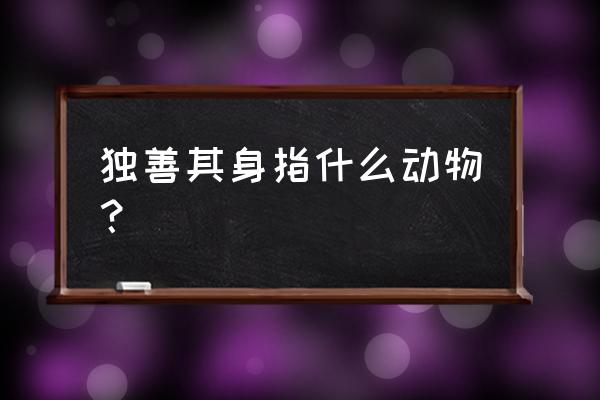 独善吾身的动物 独善其身指什么动物？