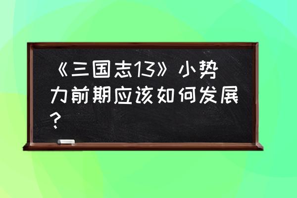 三国志13新手前期攻略 《三国志13》小势力前期应该如何发展？