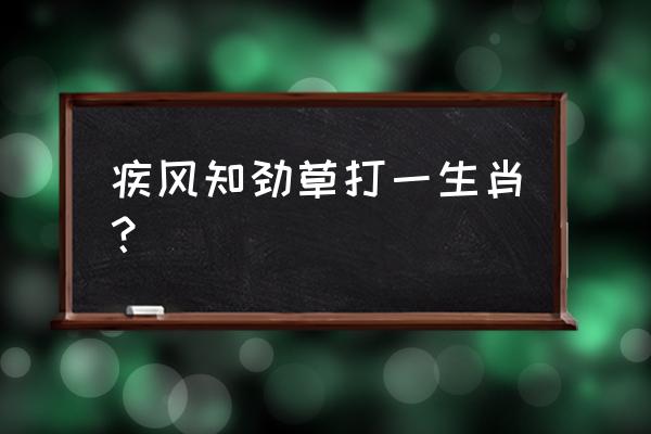 疾风知劲草什么生肖 疾风知劲草打一生肖？