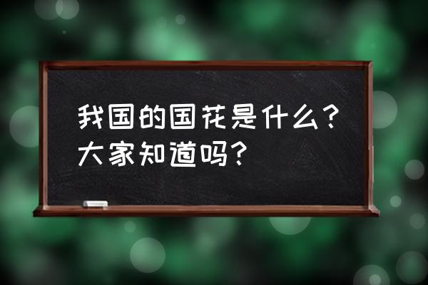 中国的国花是哪一种花 我国的国花是什么？大家知道吗？