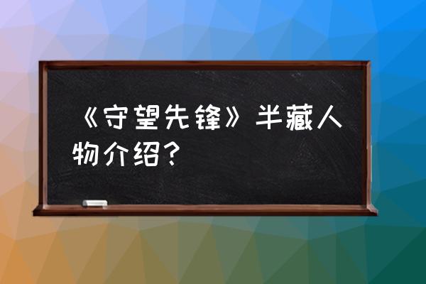 守望先锋半藏全名 《守望先锋》半藏人物介绍？