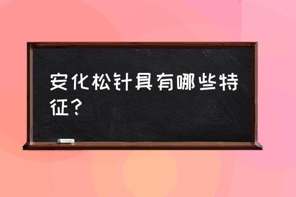 安化松针介绍 安化松针具有哪些特征？