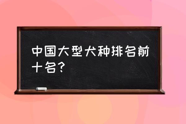 大型犬排名前十名 中国大型犬种排名前十名？