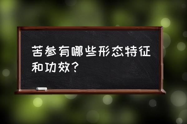 苦参的神奇功效 苦参有哪些形态特征和功效？