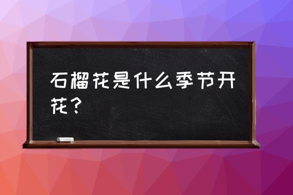 石榴花什么时候开花季节 石榴花是什么季节开花？