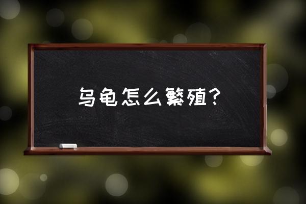 印度星龟繁殖 乌龟怎么繁殖？