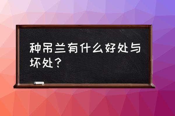 吊兰的功效与作用及禁忌 种吊兰有什么好处与坏处？