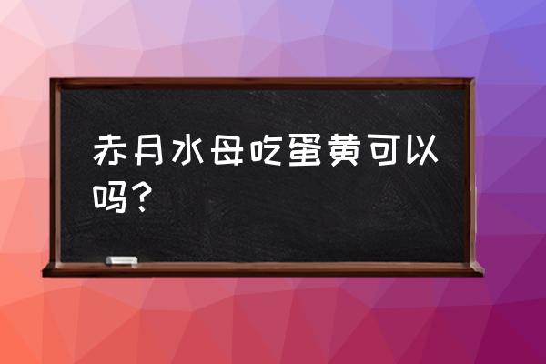 水母吃生蛋黄还是熟蛋黄 赤月水母吃蛋黄可以吗？