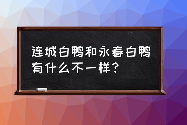 福建连城白鸭 连城白鸭和永春白鸭有什么不一样？