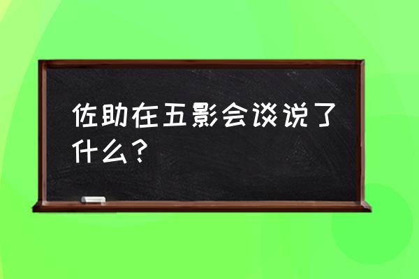 火影忍者五影会谈内容 佐助在五影会谈说了什么？