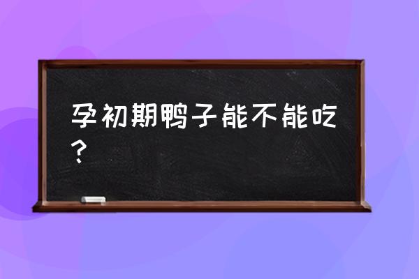 刚怀孕初期能吃鸭肉吗 孕初期鸭子能不能吃？