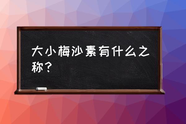 大梅沙海滨公园简介 大小梅沙素有什么之称？