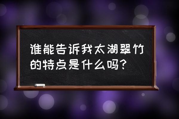 太湖翠竹的功效 谁能告诉我太湖翠竹的特点是什么吗？