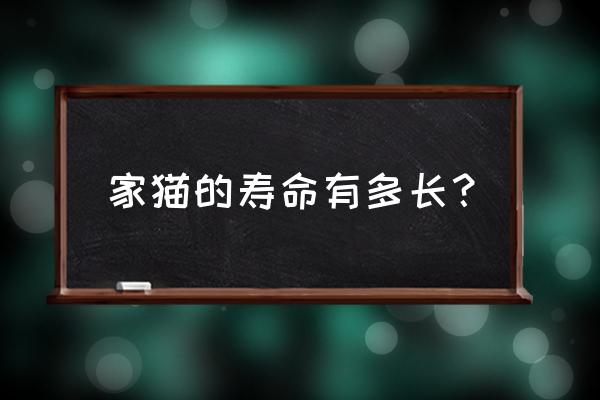 家猫寿命多长 家猫的寿命有多长？