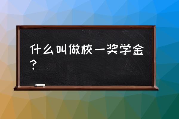 校级一等奖学金 什么叫做校一奖学金？