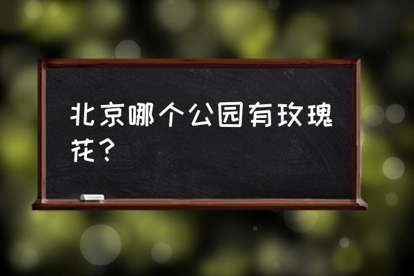 北京玫瑰公园在哪里 北京哪个公园有玫瑰花？