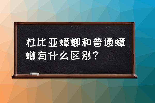 杜比亚蟑螂和普通蟑螂 杜比亚蟑螂和普通蟑螂有什么区别？