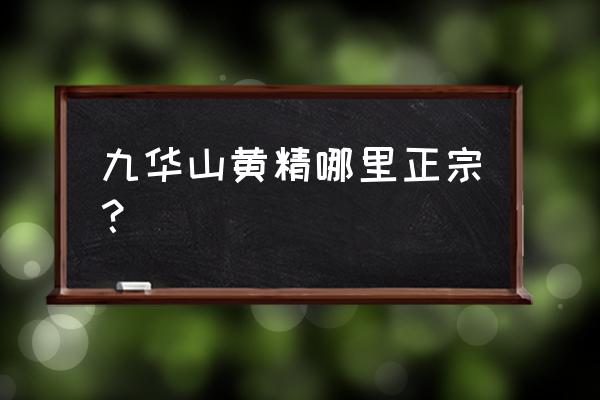 正宗黄精产地 九华山黄精哪里正宗？