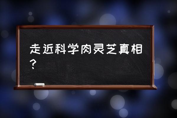 肉灵芝最新发现 走近科学肉灵芝真相？