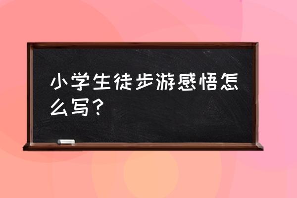 小学生旅行感悟 小学生徒步游感悟怎么写？