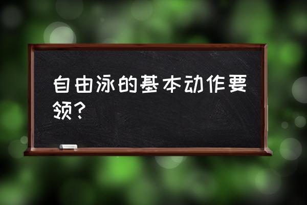 自由泳的基本动作要领 自由泳的基本动作要领？