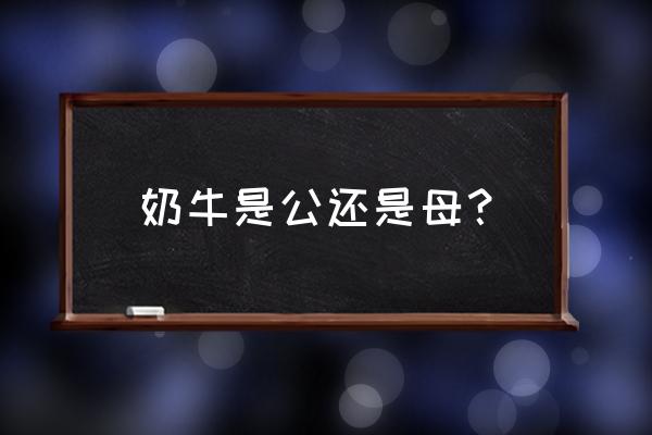 奶牛分不分公母 奶牛是公还是母？