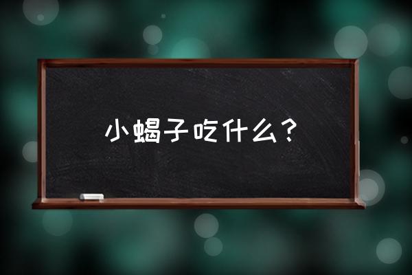 小蝎子吃什么 小蝎子吃什么？