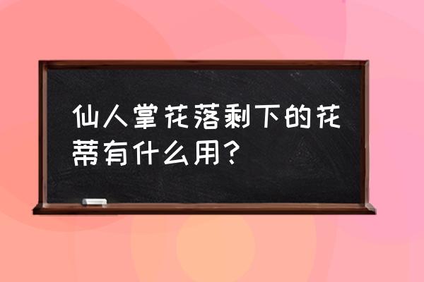 仙人掌的功效与作用及禁忌 仙人掌花落剩下的花蒂有什么用？