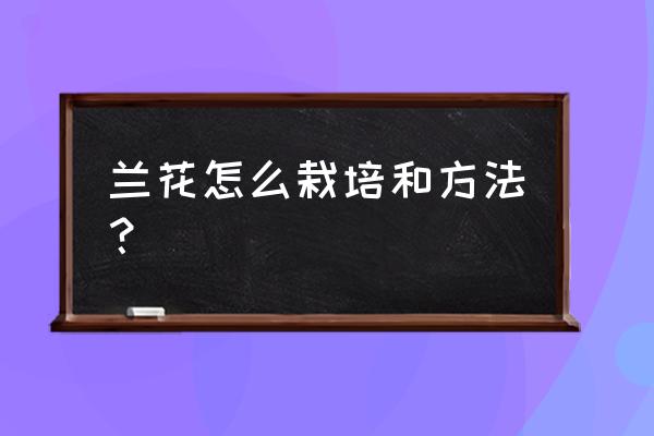 兰花养殖方法和栽培 兰花怎么栽培和方法？